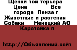 Щенки той терьера › Цена ­ 10 000 - Все города, Пенза г. Животные и растения » Собаки   . Ненецкий АО,Каратайка п.